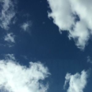 Meet your Posher, Posh